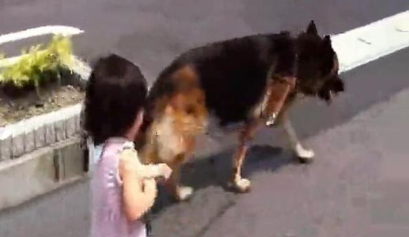 小主人要出门,狗狗全程陪同,走不动了小主人就摸摸头休闲区蓝鸢梦想 - Www.slyday.coM 小主人要出门,狗狗全程陪同,走不动了小主人就摸摸头休闲区蓝鸢梦想 - Www.slyday.coM