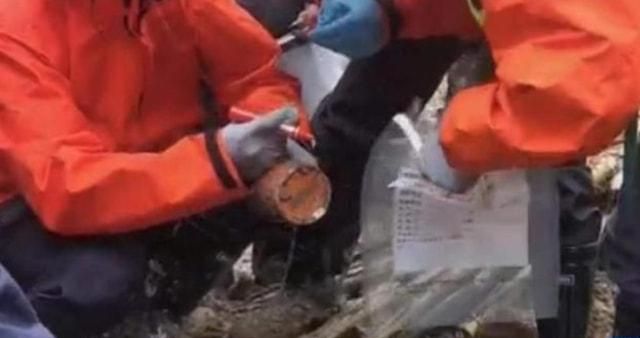 东航飞机失事后为何没有找到遗体却发现了没有被烧毁的身份证?休闲区蓝鸢梦想 - Www.slyday.coM 东航飞机失事后为何没有找到遗体却发现了没有被烧毁的身份证?休闲区蓝鸢梦想 - Www.slyday.coM