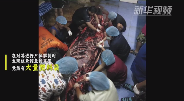 这是真的！微塑料正在吞噬人体，血液中首次发现它，影响有多大？休闲区蓝鸢梦想 - Www.slyday.coM