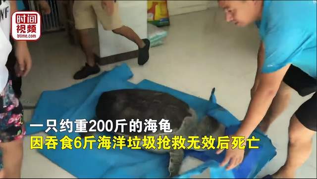 这是真的！微塑料正在吞噬人体，血液中首次发现它，影响有多大？休闲区蓝鸢梦想 - Www.slyday.coM