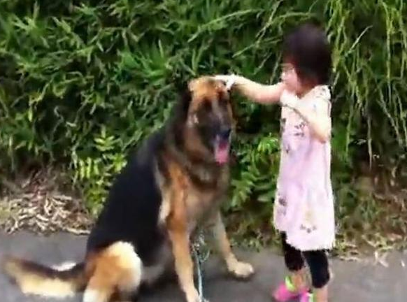 小主人要出门,狗狗全程陪同,走不动了小主人就摸摸头休闲区蓝鸢梦想 - Www.slyday.coM 小主人要出门,狗狗全程陪同,走不动了小主人就摸摸头休闲区蓝鸢梦想 - Www.slyday.coM