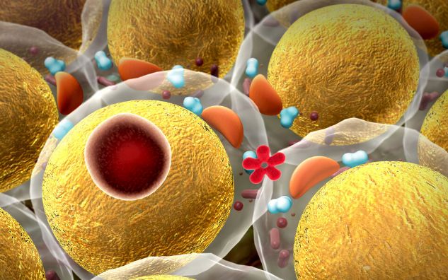 吃花生能让血管更健康？医生：过量食用容易促炎，注意这4点休闲区蓝鸢梦想 - Www.slyday.coM