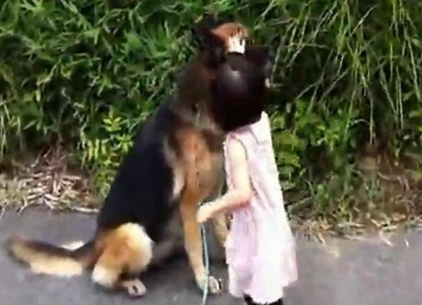 小主人要出门,狗狗全程陪同,走不动了小主人就摸摸头休闲区蓝鸢梦想 - Www.slyday.coM 小主人要出门,狗狗全程陪同,走不动了小主人就摸摸头休闲区蓝鸢梦想 - Www.slyday.coM