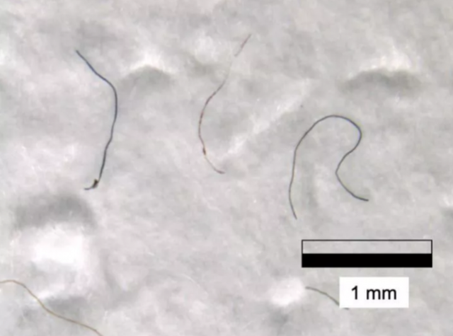 这是真的！微塑料正在吞噬人体，血液中首次发现它，影响有多大？休闲区蓝鸢梦想 - Www.slyday.coM