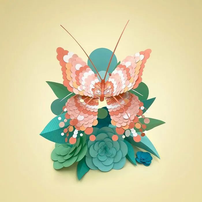 色彩系纸雕大师用纸打造五彩斑斓的花鸟世界好看又真实