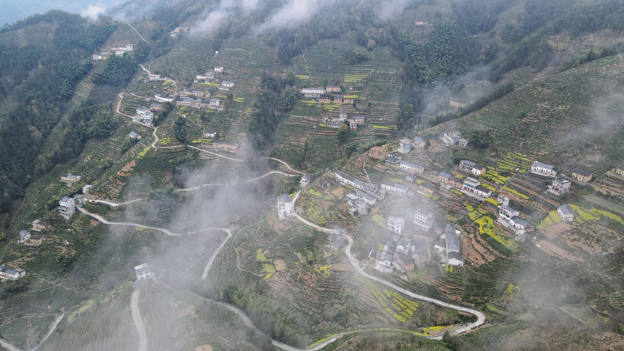 用奋斗砌出来的茶园长啥样？休闲区蓝鸢梦想 - Www.slyday.coM