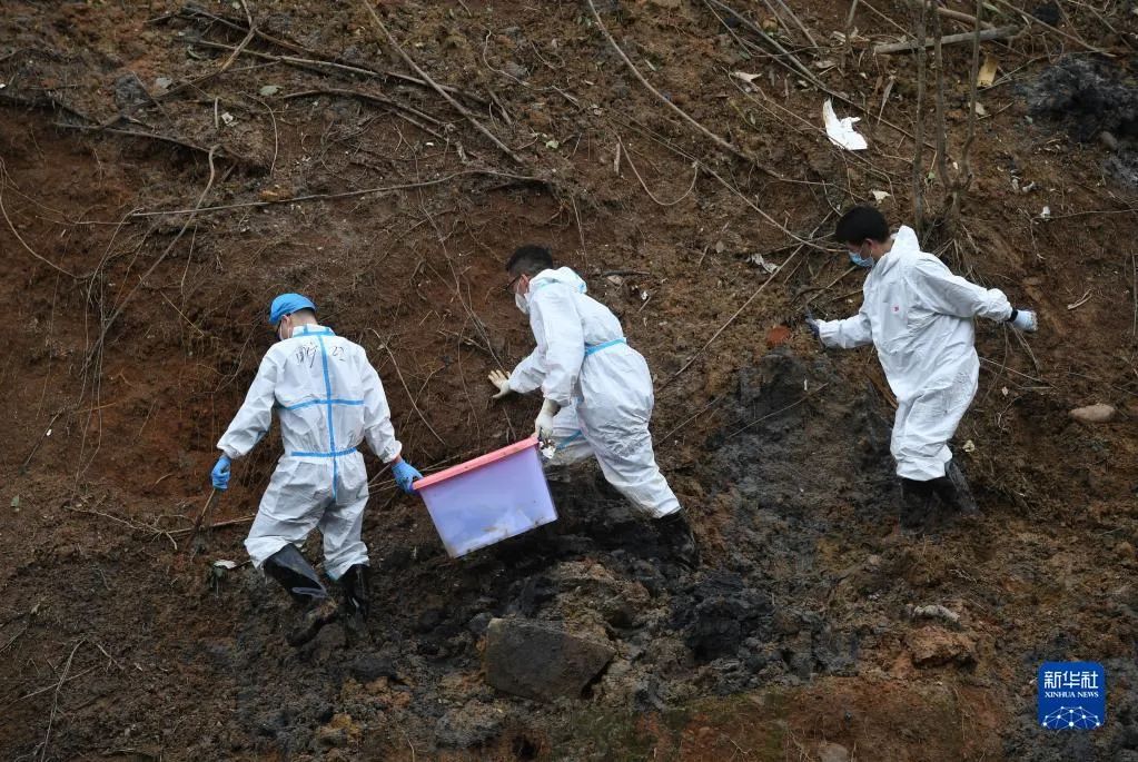 MU5735搜救最新进展：撞击点附近经反复探测，确定已无生命迹象休闲区蓝鸢梦想 - Www.slyday.coM