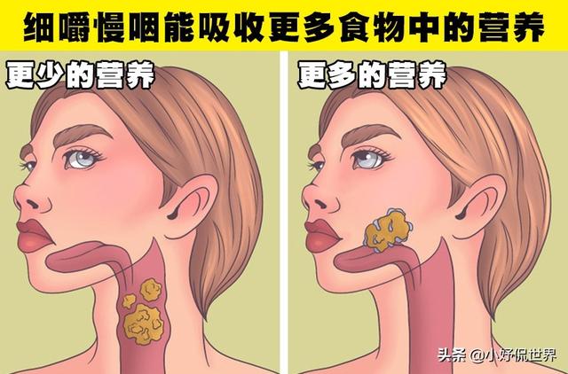 冷知识咀嚼行为对我们身体的7个好处