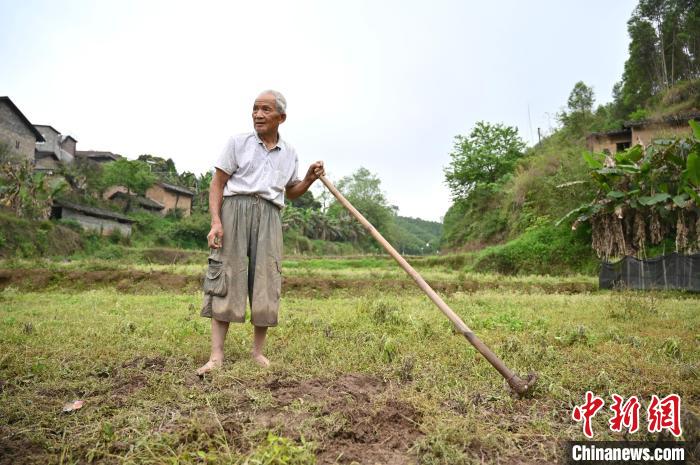 黄建义发现疑似飞机残骸的地方，距离村民房屋不到30米。俞靖 摄