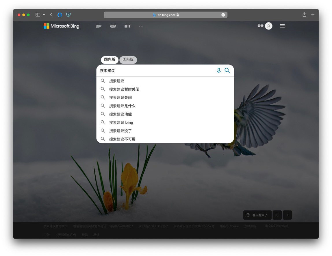 微软bing必应在中国内地搜索建议功能已恢复