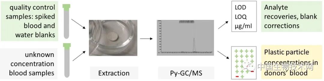 惊！人类血液中首次发现微塑料休闲区蓝鸢梦想 - Www.slyday.coM