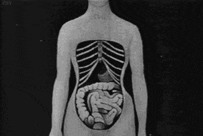 远红外乳腺贴是什么6个专骗女孩的智商税，坑钱还要命_https://www.jmylbn.com_新闻资讯_第4张