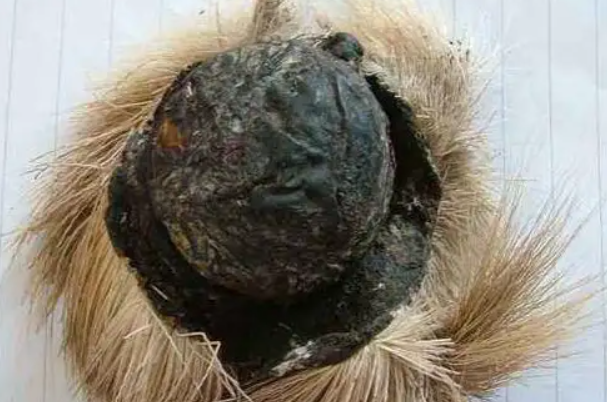 麝香是什么动物身上的哪个部位成熟雄麝鹿自香囊分泌