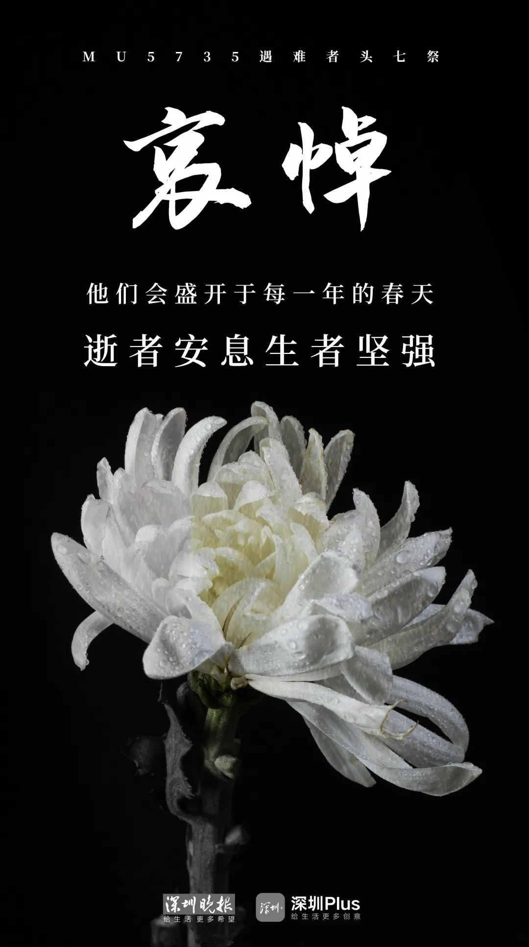 头七祭全场鸣笛默哀三分钟