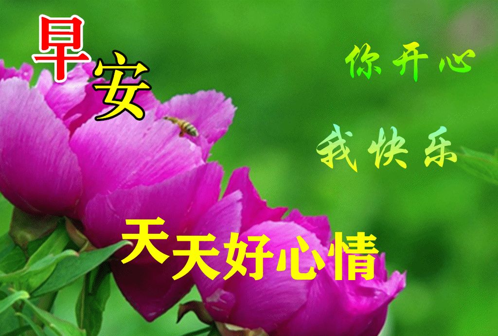 清晨早上好问候祝福图片带字精选最美早晨好祝福图片带字