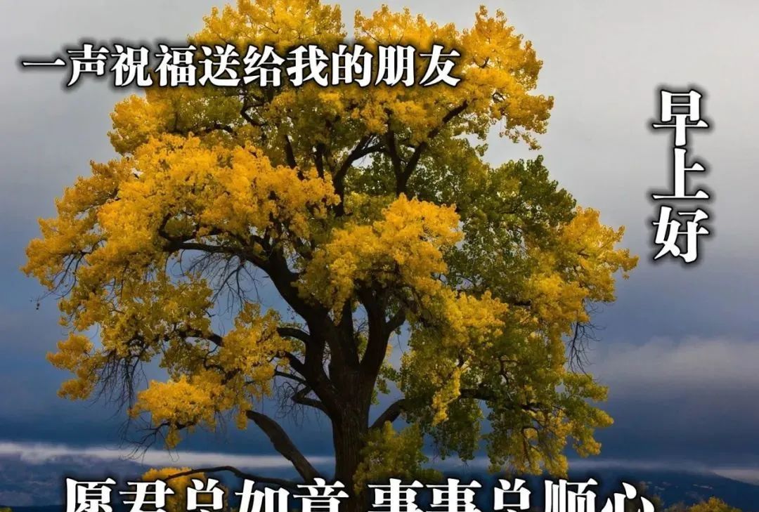 有创意的早安早上好图片带字带祝福语美的早安问候语