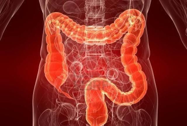 刚吃完饭就想大便或许不是因为直肠子这几个原因要注意