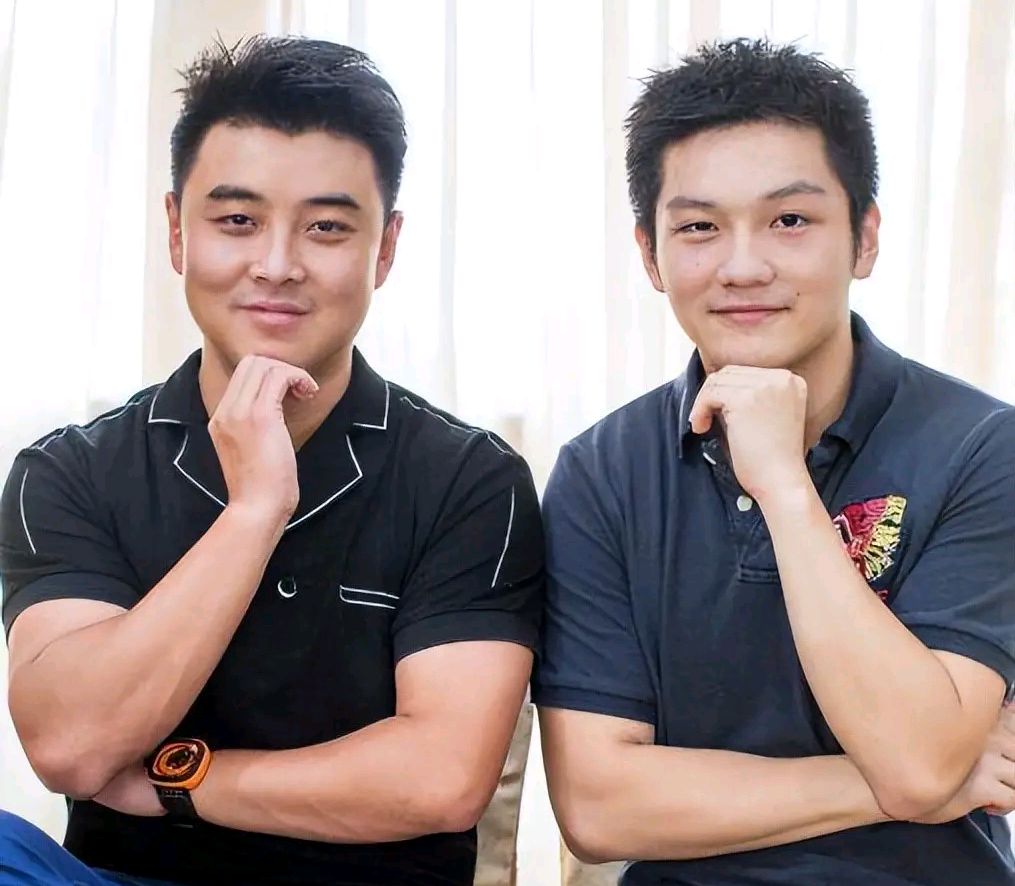 王皓看着樊振东成长作用无可替代球迷不舍他离去