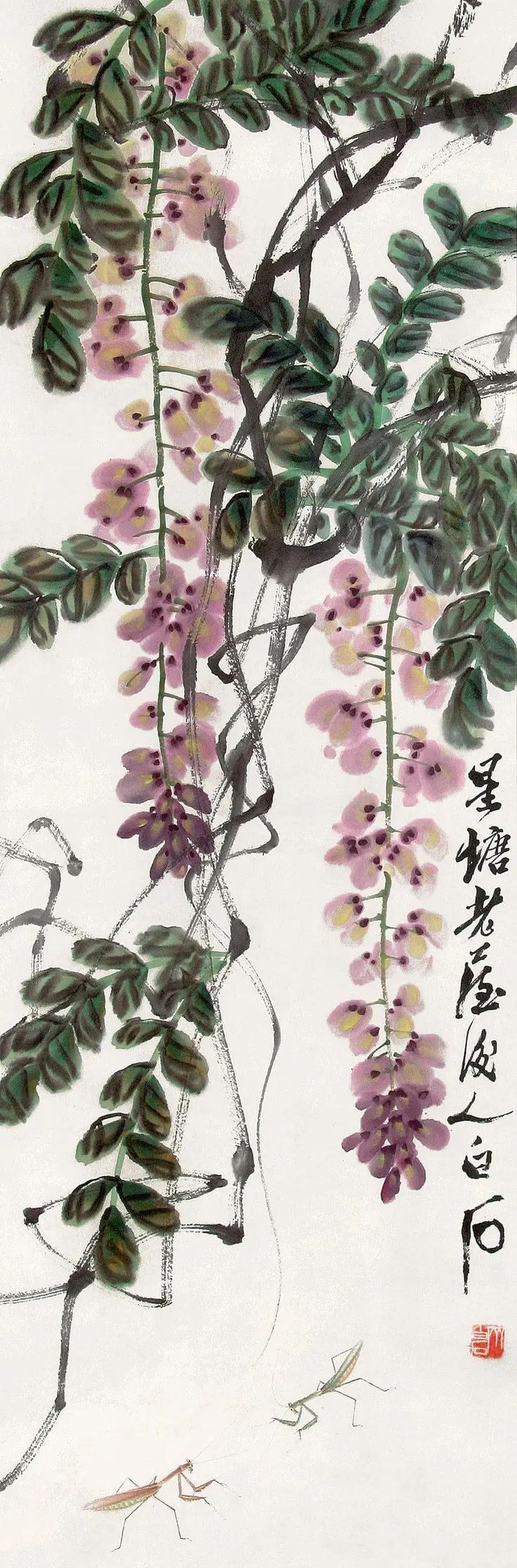 齐白石画藤萝突飞猛进齐白石传人汤发周说他受吴昌硕的影响大