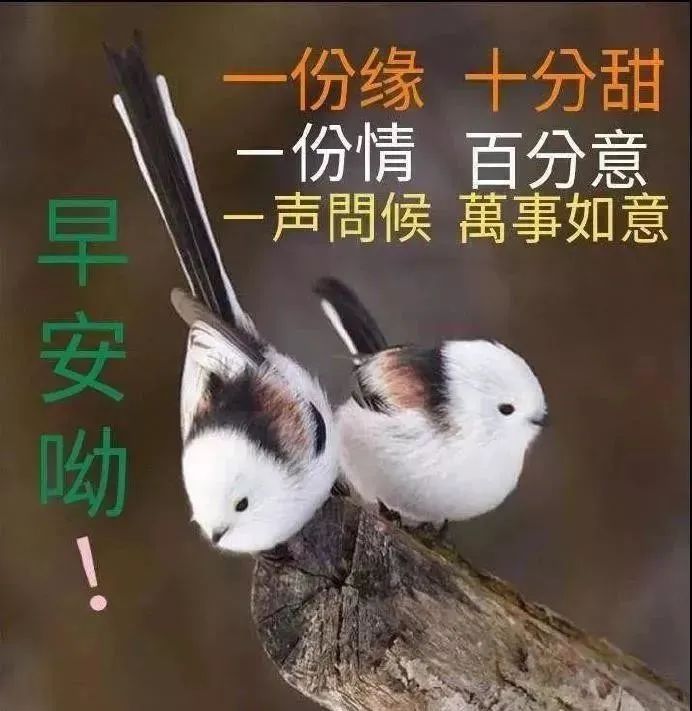 清晨早上好问候祝福图片带字精选最美早晨好祝福图片带字