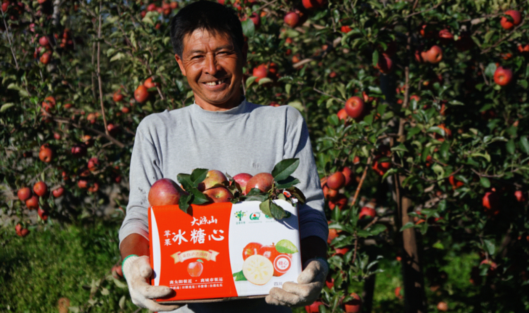 青年+科技，未来的农业版图长啥样？休闲区蓝鸢梦想 - Www.slyday.coM