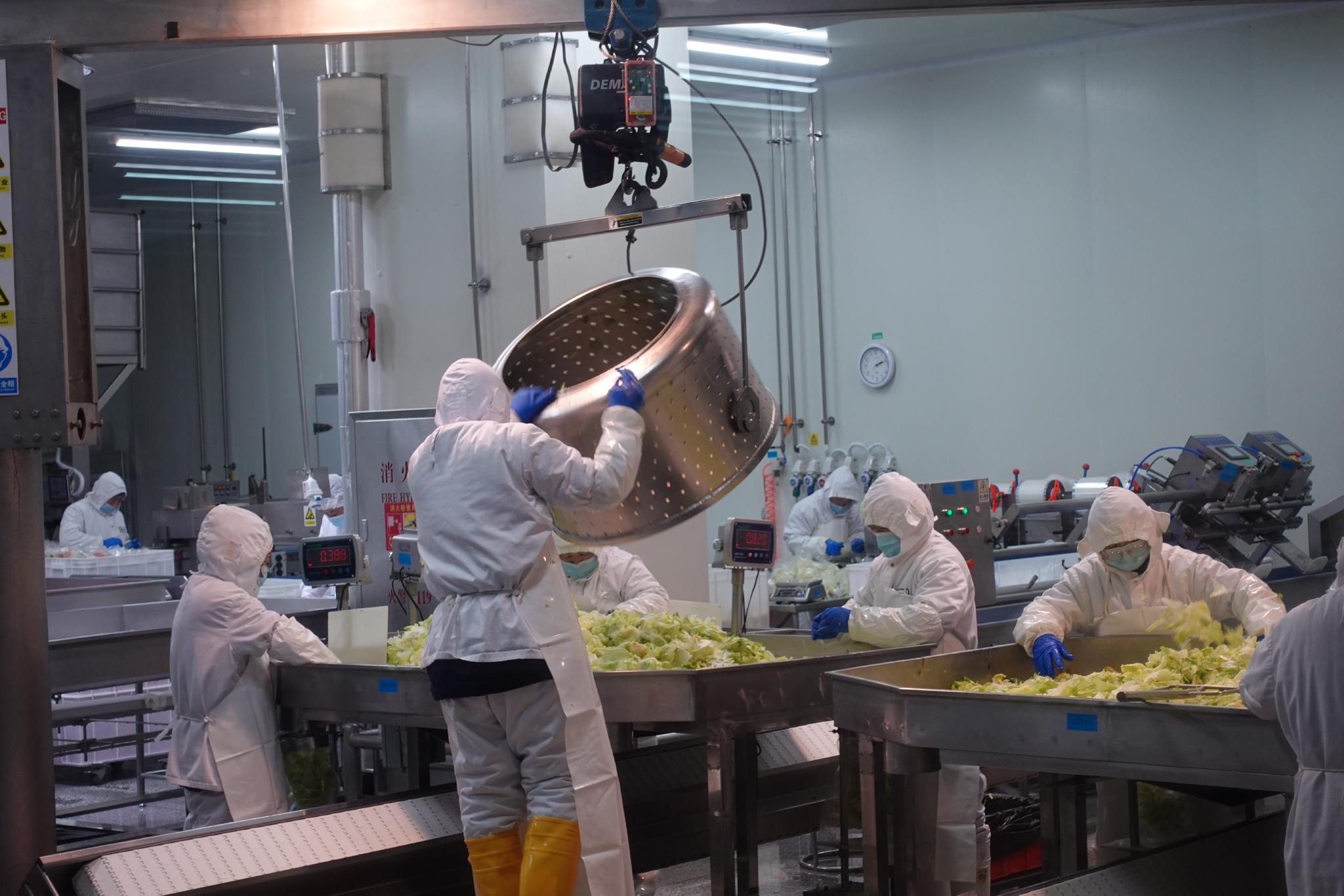 加工车间里,工人们正在对蔬菜进行脱水,挑选等环节.
