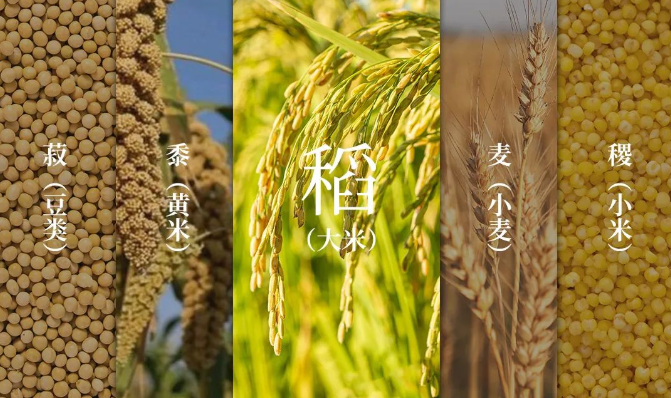 四特美酒的独“稻”之处|大米_新浪新闻