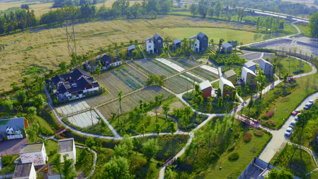 现代共享农庄的主要内容离不开农业生产,也离不开把休闲农业作为主体