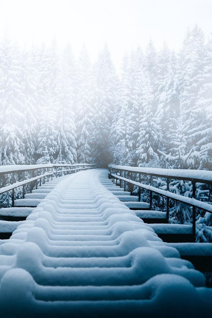 来自全世界的雪景照片用各种方式不断地展现出它们的神奇