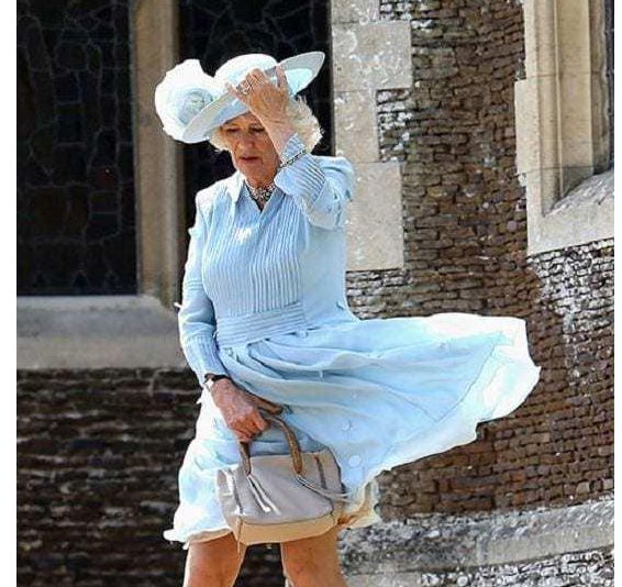 风吹裙子凯特已得心应手戴妃优雅应对卡米拉手忙脚乱