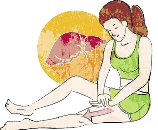 如果觉得掌根用不上力,也可以握拳后,去推刮,每次300下,肝经不通者,推