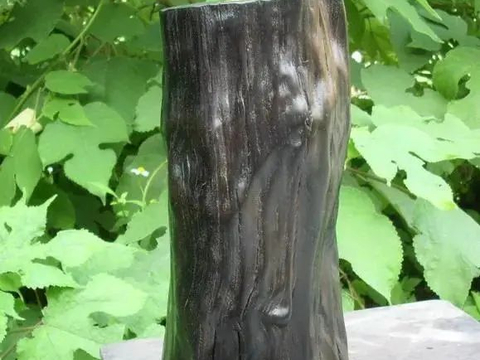 天赐的东方神木,植物界的“木乃伊”一一阴沉木|神木|阴沉木|植物界_新浪新闻