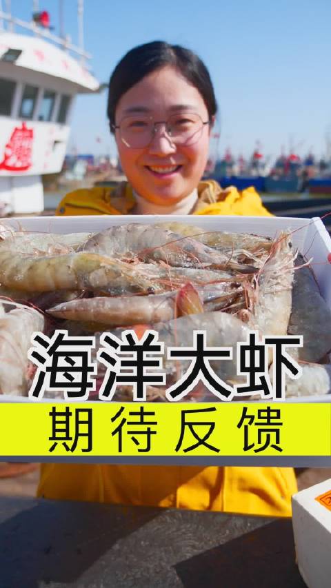 大梅和林彬离婚了吗 cvt无级变速到底是自动挡吗