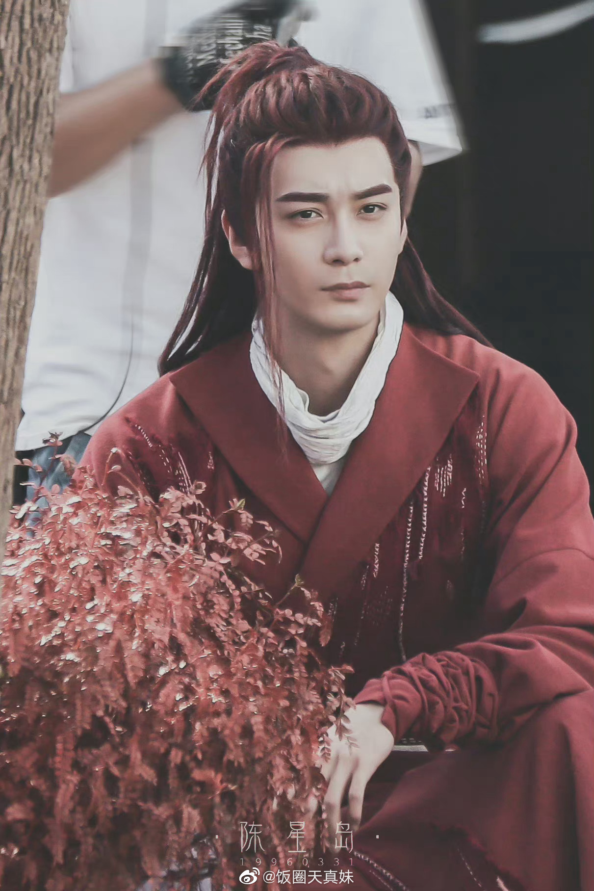 陈星旭星落凝成糖中的少典辣目路透