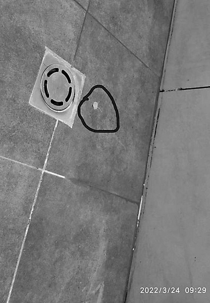 短视频seo优化收集表单