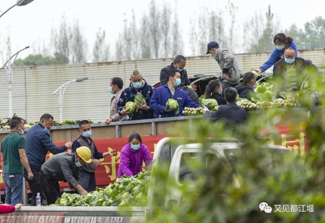 全国多地物资驰援上海，全力守“沪”休闲区蓝鸢梦想 - Www.slyday.coM