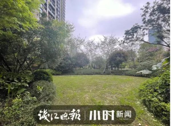 杭州一小区网红裸背拍照，业主着急怕带坏孩子：有时连内衣都没穿休闲区蓝鸢梦想 - Www.slyday.coM