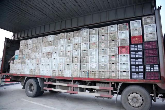 全国多地物资驰援上海，全力守“沪”休闲区蓝鸢梦想 - Www.slyday.coM