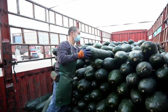 全国多地物资驰援上海，全力守“沪”休闲区蓝鸢梦想 - Www.slyday.coM