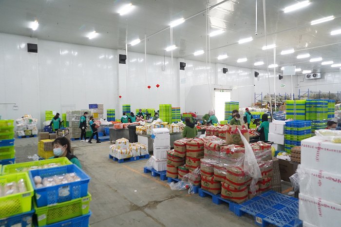 图说:叮咚买菜金亮蔬果大仓24小时不间断生产 来源:新民晚报记者 陈炅