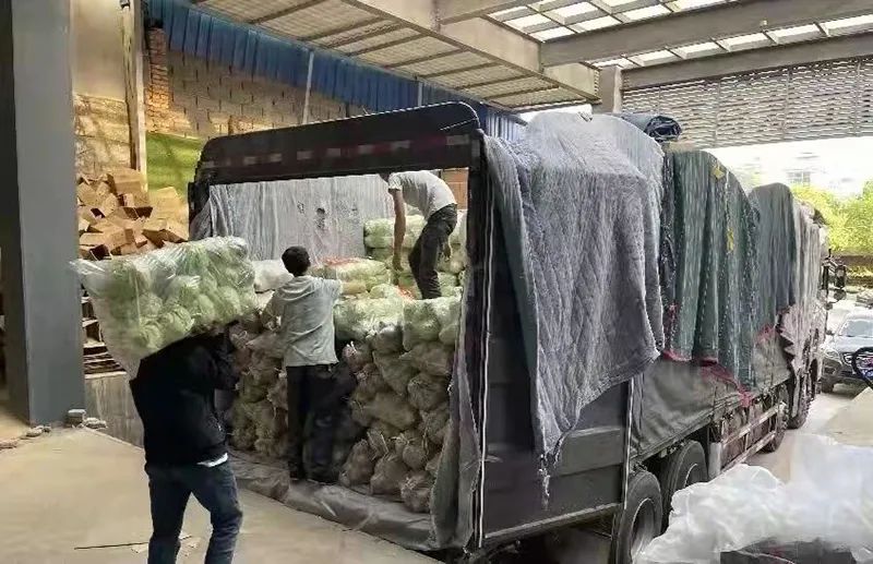 医疗队来了！物资来了！同心抗疫山海不可阻，全国多地星夜驰援上海休闲区蓝鸢梦想 - Www.slyday.coM