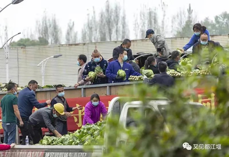 医疗队来了！物资来了！同心抗疫山海不可阻，全国多地星夜驰援上海休闲区蓝鸢梦想 - Www.slyday.coM