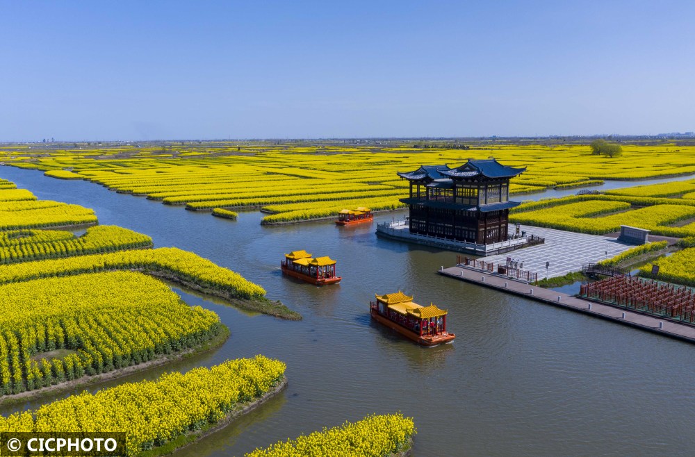 以上图片:2022年3月28日,江苏兴化千垛景区,游客乘坐电动游船赏花游玩