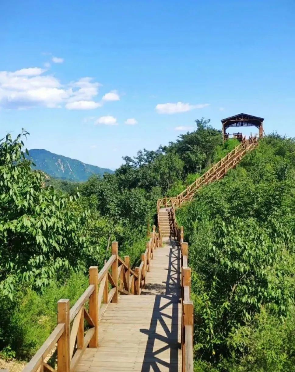 可徒步可采摘,持老年卡免门票,昌平这个风景区4月1日开园