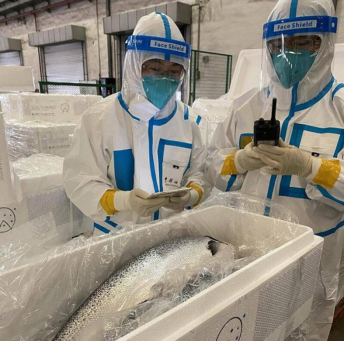 浦东封控首日，上海口岸进出口了些啥？揭秘货物通关AB班，不停摆是因伤不得休闲区蓝鸢梦想 - Www.slyday.coM