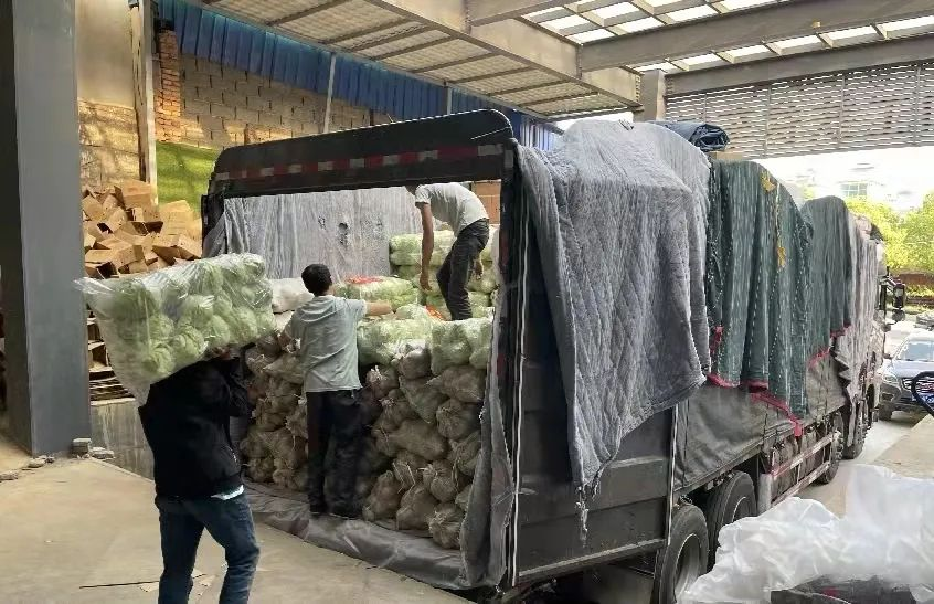 全国多地物资驰援上海，全力守“沪”休闲区蓝鸢梦想 - Www.slyday.coM