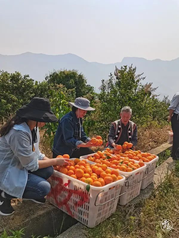 全国多地物资驰援上海，全力守“沪”休闲区蓝鸢梦想 - Www.slyday.coM