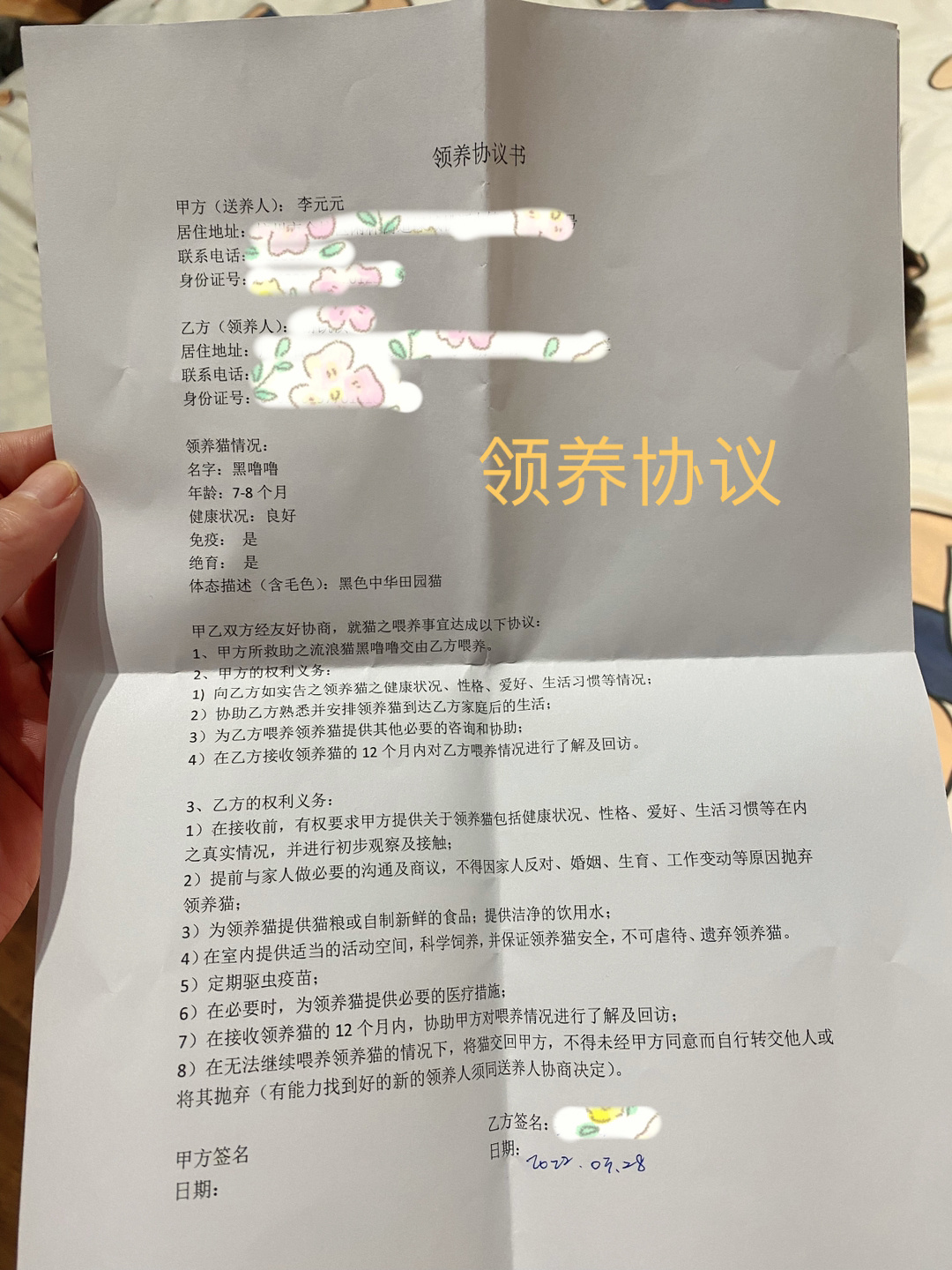 我们小噜噜的领养手续都办好了……|手续|小姐姐|上岗_新浪新闻