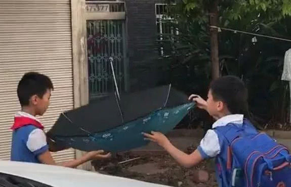 调皮猫咪趁着主人不在想偷溜出门玩,没想到不小心掉到楼下雨棚里休闲区蓝鸢梦想 - Www.slyday.coM 调皮猫咪趁着主人不在想偷溜出门玩,没想到不小心掉到楼下雨棚里休闲区蓝鸢梦想 - Www.slyday.coM