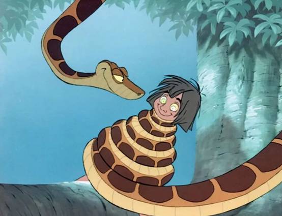 三亚发现一条4米蟒蛇,偷吃小羊羔后被抓,为何说它是保护动物?休闲区蓝鸢梦想 - Www.slyday.coM 三亚发现一条4米蟒蛇,偷吃小羊羔后被抓,为何说它是保护动物?休闲区蓝鸢梦想 - Www.slyday.coM